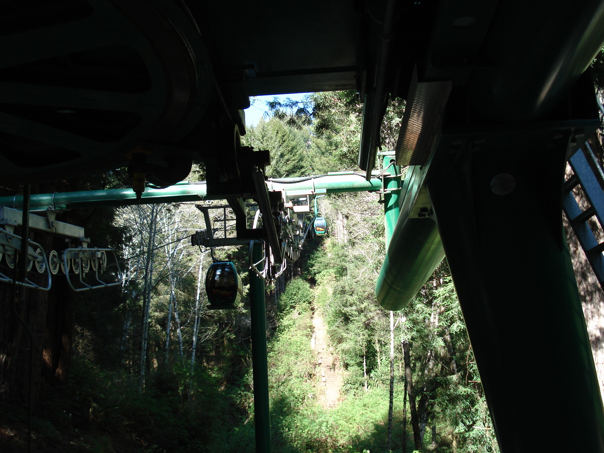 Our Trip to Redwood National Park